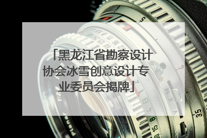 黑龙江省勘察设计协会冰雪创意设计专业委员会揭牌